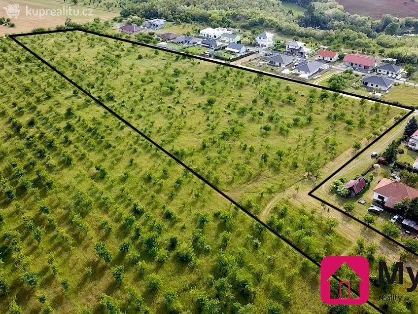 Prodej  sadů/vinic 60000 m^2 Mikulovice, Mikulovice 