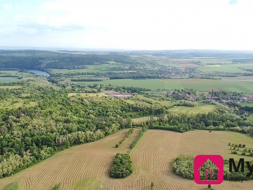 Prodej  sadů/vinic 60000 m^2 Mikulovice, Mikulovice 