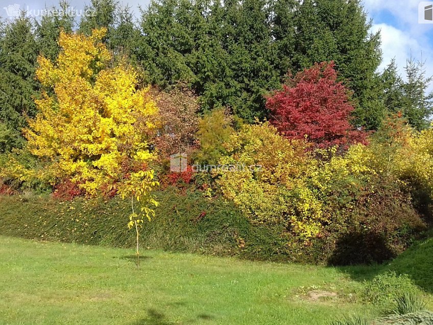 Prodej  stavebního pozemku 1981 m^2 Řendějov, Řendějov 