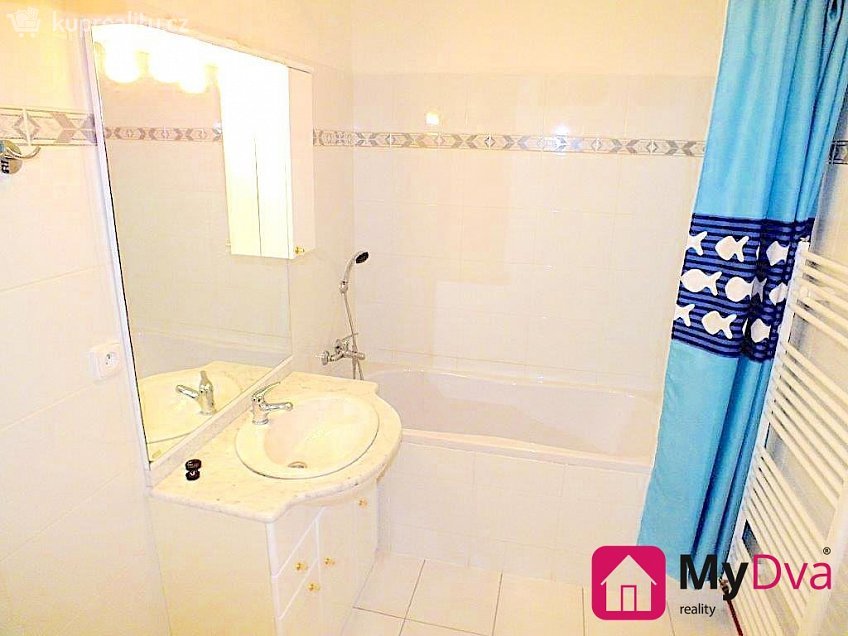 Pronájem bytu 1+kk 41 m^2 Vídeňská třída, Znojmo 