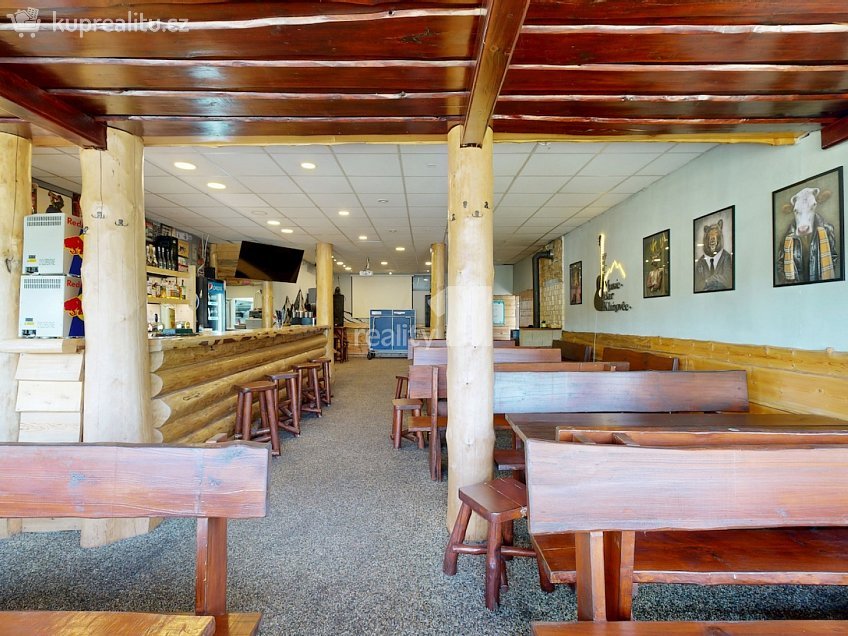 Pronájem  ubytovacího zařízení 229 m^2 Loučná pod Klínovcem, Loučná pod Klínovcem 