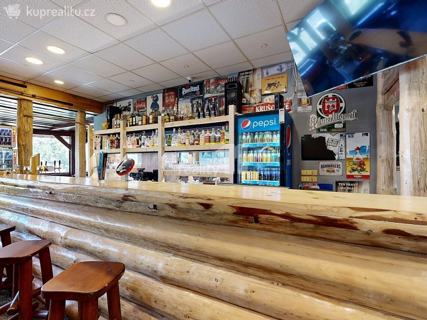 Pronájem  ubytovacího zařízení 229 m^2 Loučná pod Klínovcem, Loučná pod Klínovcem 