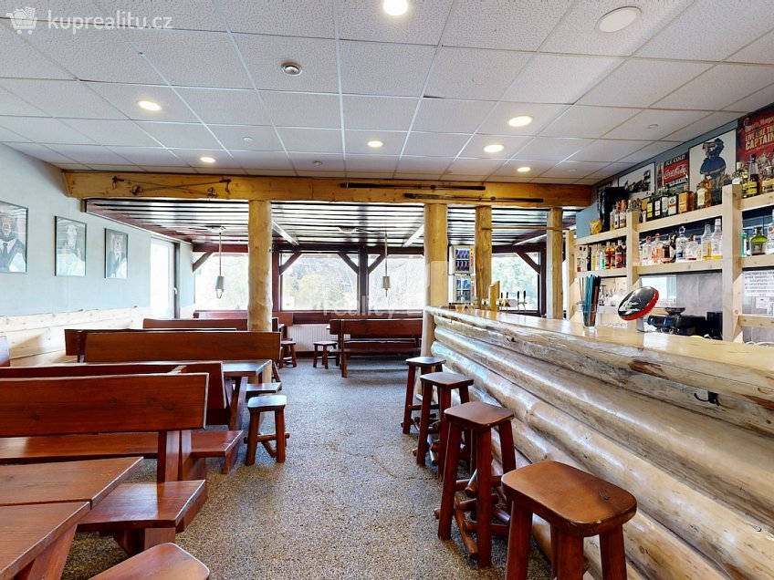 Pronájem  ubytovacího zařízení 229 m^2 Loučná pod Klínovcem, Loučná pod Klínovcem 