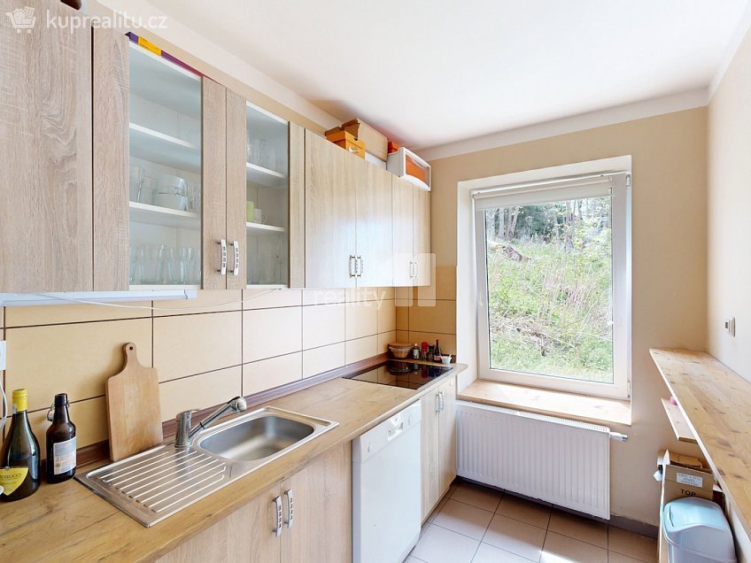 Pronájem  ubytovacího zařízení 370 m^2 Loučná pod Klínovcem, Loučná pod Klínovcem 