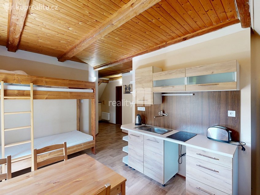 Pronájem  ubytovacího zařízení 370 m^2 Loučná pod Klínovcem, Loučná pod Klínovcem 