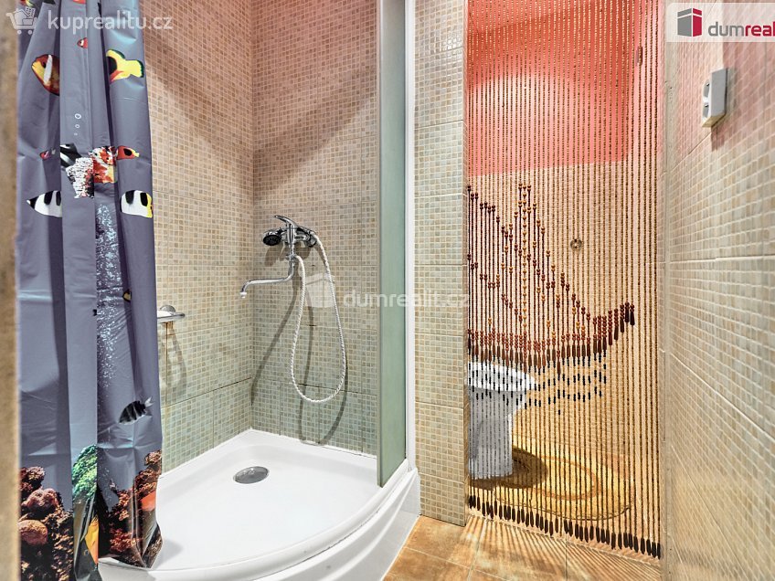 Prodej bytu 1+kk 19 m^2 Dukelských hrdinů, Chodov 