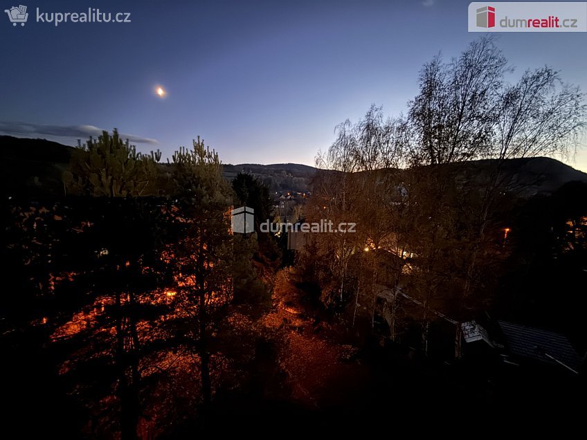 Pronájem bytu 1+1 36 m^2 E. Krásnohorské, Jílové 