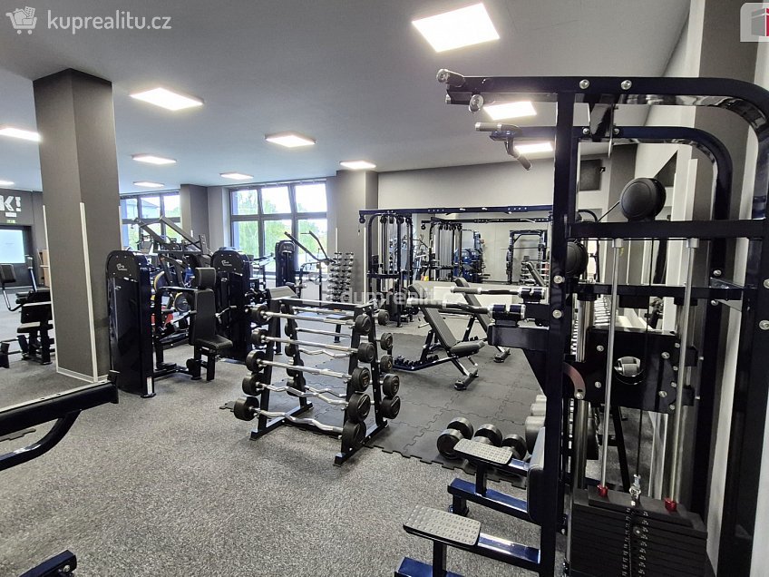 Prodej  obchodních prostor 245 m^2 Plaská, Plzeň 