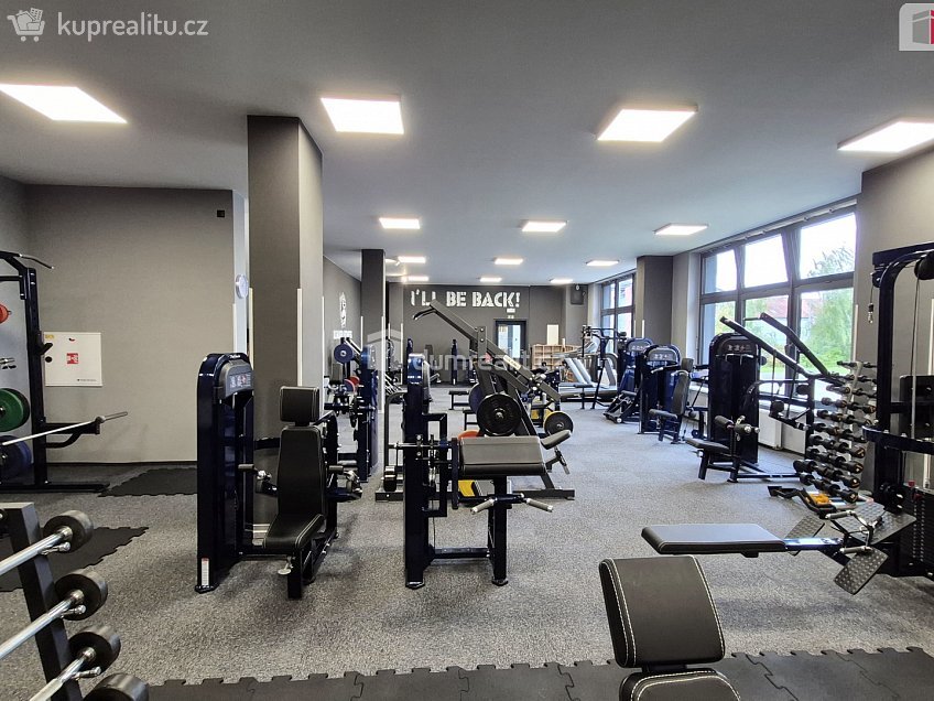 Prodej  obchodních prostor 245 m^2 Plaská, Plzeň 