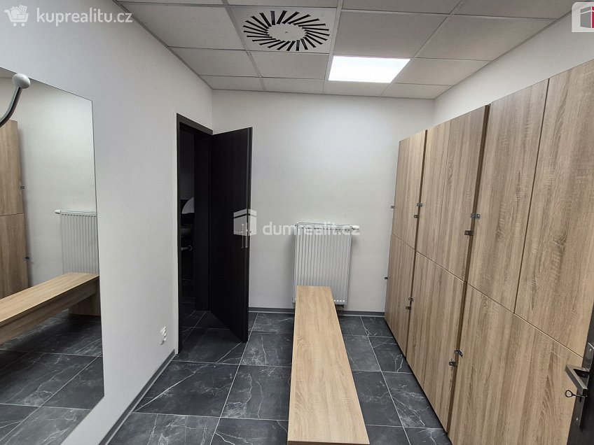 Prodej  obchodních prostor 245 m^2 Plaská, Plzeň 