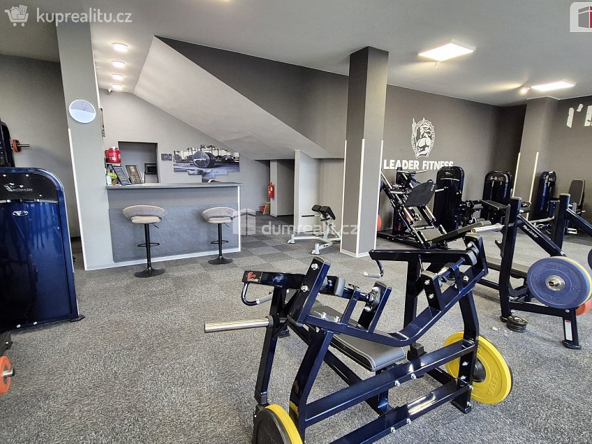 Prodej  obchodních prostor 245 m^2 Plaská, Plzeň 