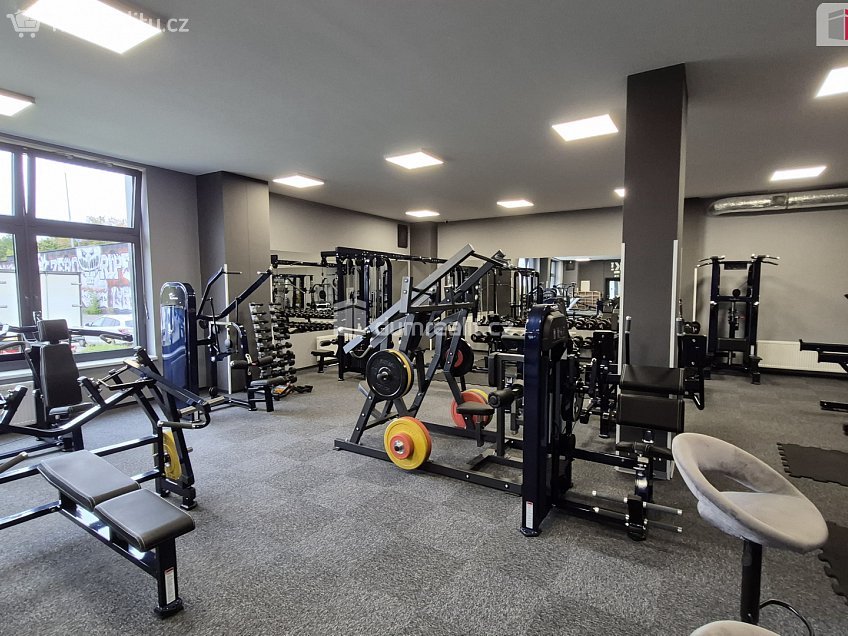 Prodej  obchodních prostor 245 m^2 Plaská, Plzeň 