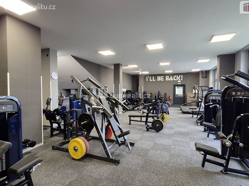 Prodej  obchodních prostor 245 m^2 Plaská, Plzeň 