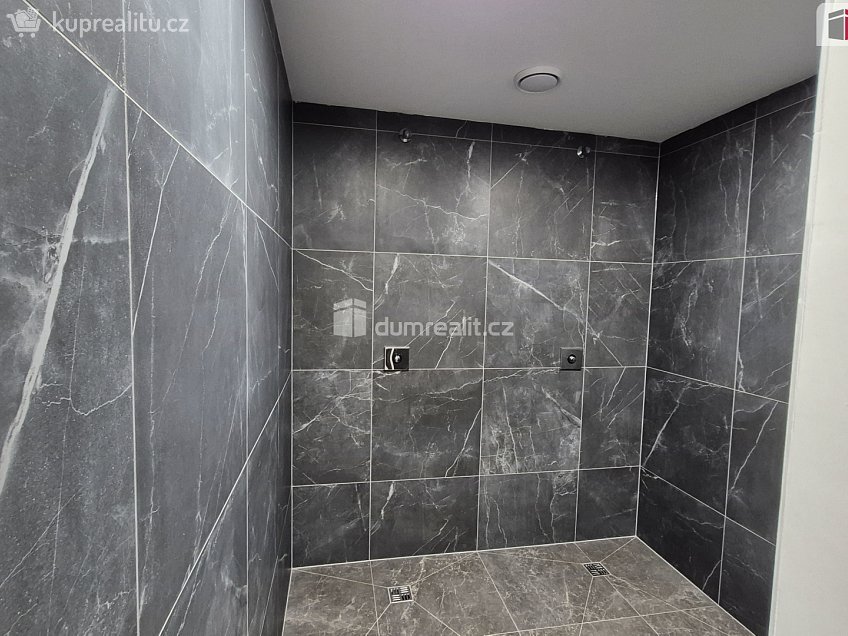 Prodej  obchodních prostor 245 m^2 Plaská, Plzeň 