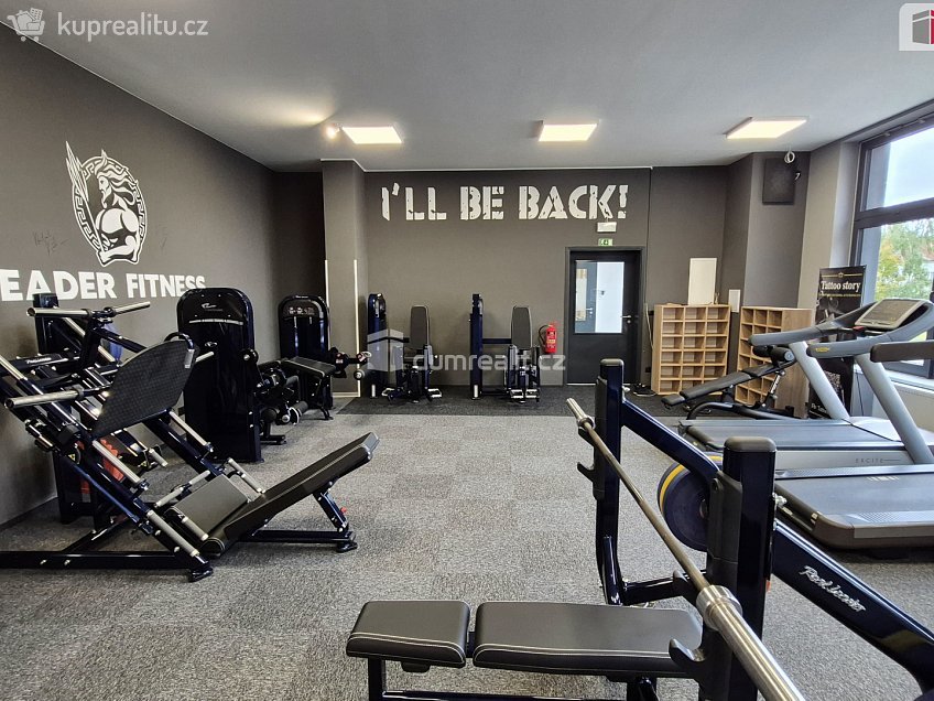 Prodej  obchodních prostor 245 m^2 Plaská, Plzeň 