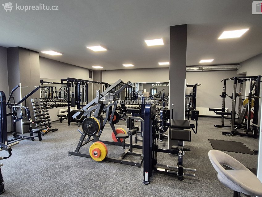 Prodej  obchodních prostor 245 m^2 Plaská, Plzeň 