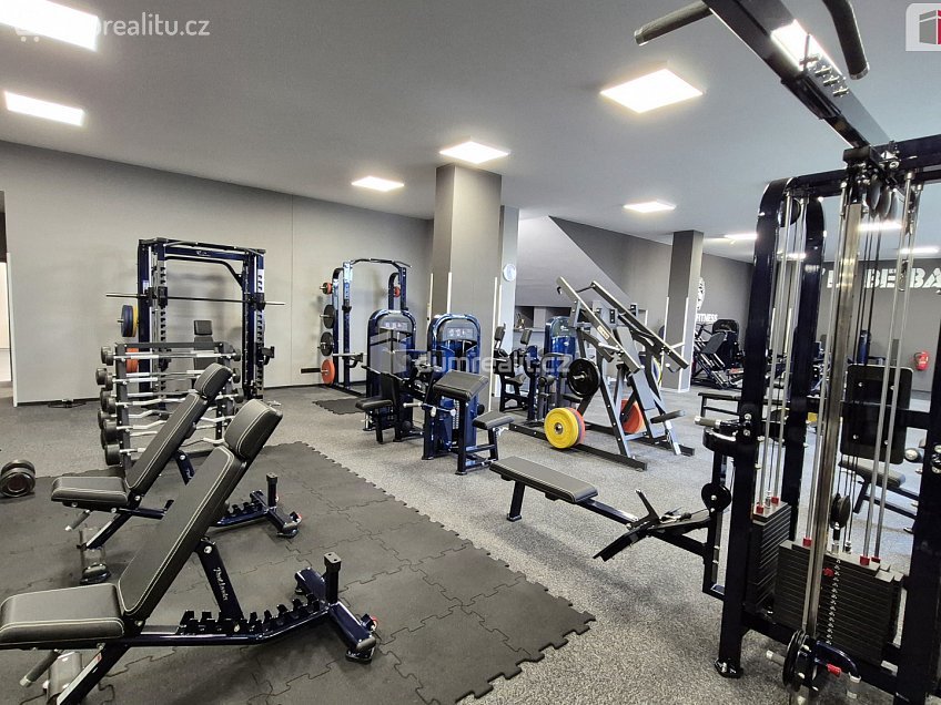 Prodej  obchodních prostor 245 m^2 Plaská, Plzeň 