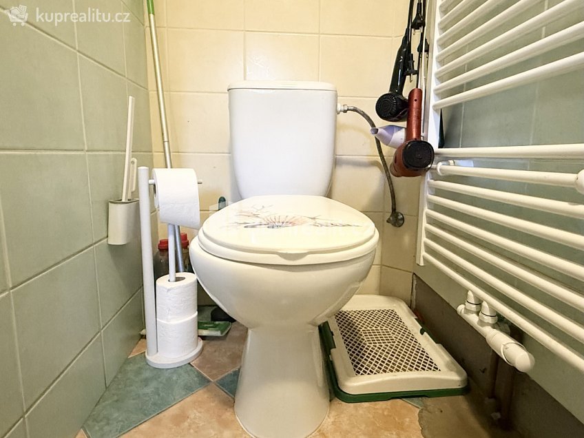 Pronájem  rodinného domu 108 m^2 Jenčice, Jenčice 