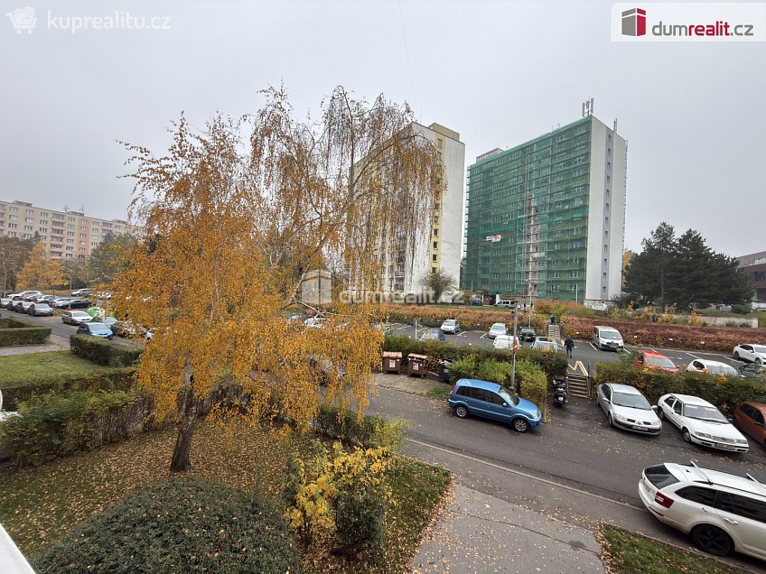 Pronájem bytu 1+kk 19 m^2 Glennova, Ústí nad Labem 