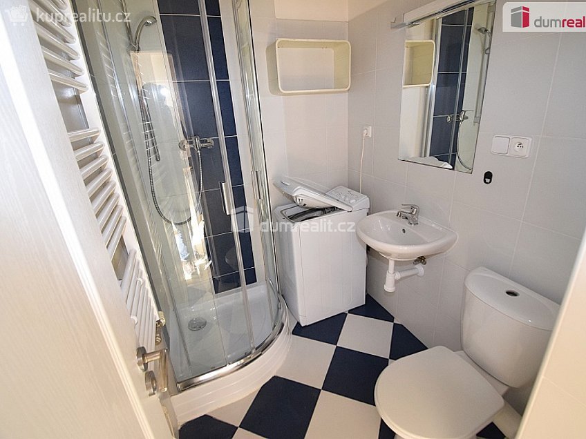 Pronájem bytu 1+kk 27 m^2 Nad Palatou, Praha 5 