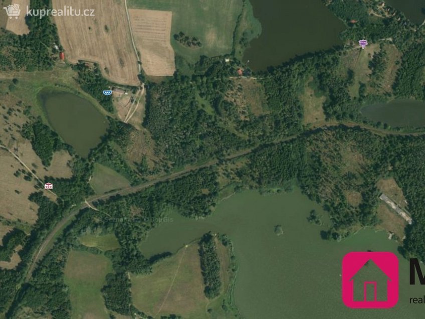 Prodej  lesa 6045 m^2 Studenec, Studenec 