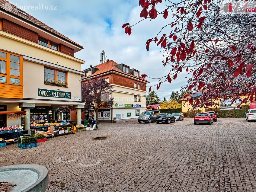 Prodej bytu 1+kk 20 m^2 Palackého, Dobřichovice 