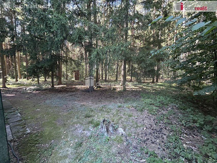 Prodej  chaty 29 m^2 Černíny, Černíny 