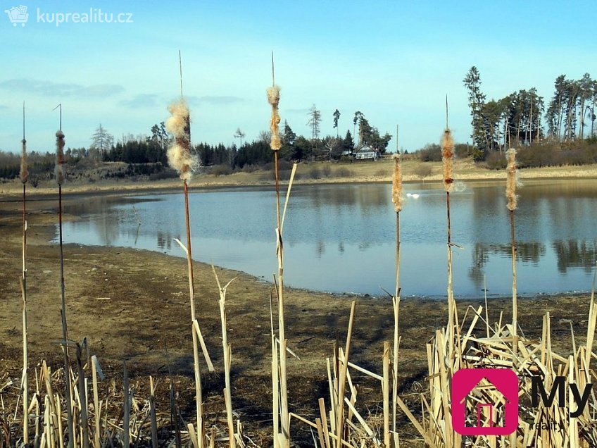 Prodej  lesa 13825 m^2 Studenec, Studenec 