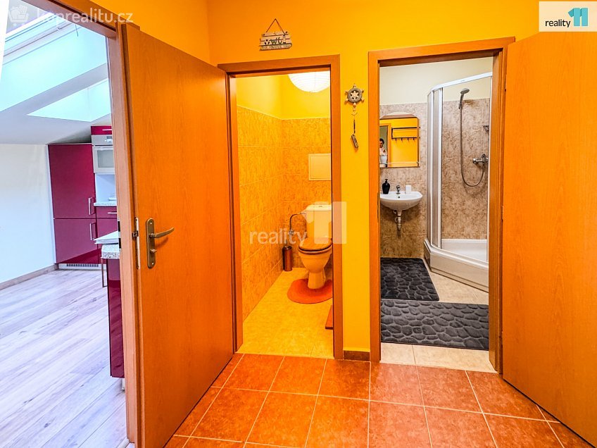 Prodej bytu 2+1 61 m^2 Slapy, Slapy 