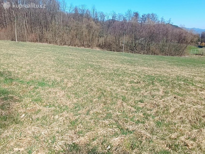 Prodej  stavebního pozemku 4280 m^2 Heřmanov, Heřmanov 