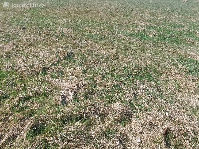 Prodej  stavebního pozemku 1146 m^2 Heřmanov, Heřmanov 