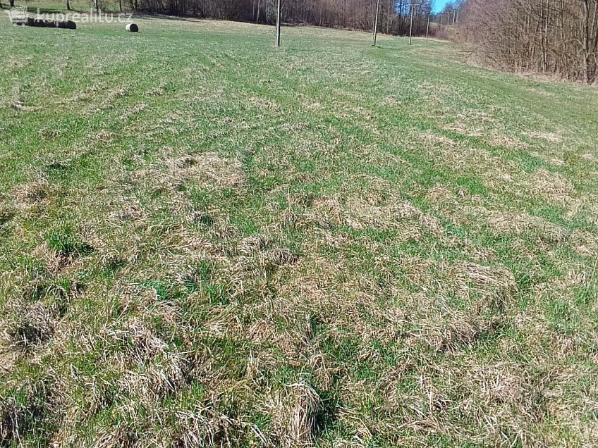 Prodej  stavebního pozemku 4050 m^2 Heřmanov, Heřmanov 