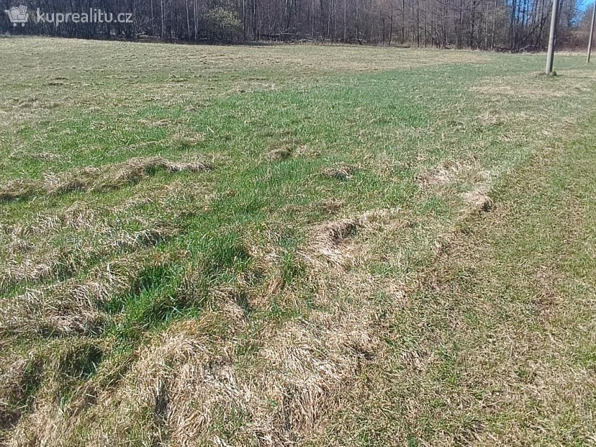 Prodej  stavebního pozemku 4050 m^2 Heřmanov, Heřmanov 
