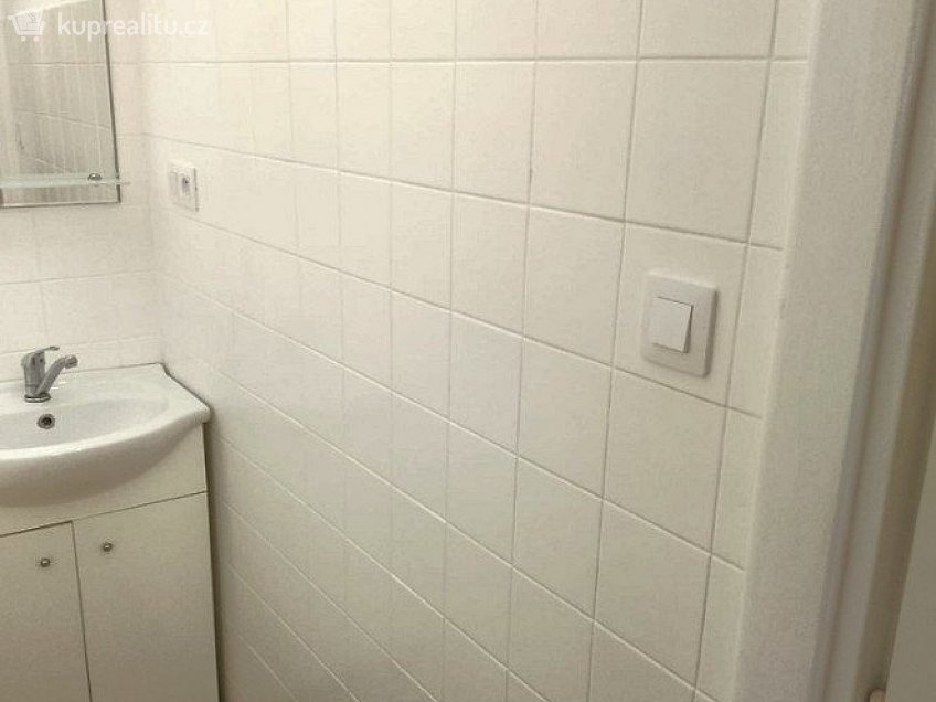 Pronájem bytu 1+1 36 m^2 Dlouhá 28, Cheb 