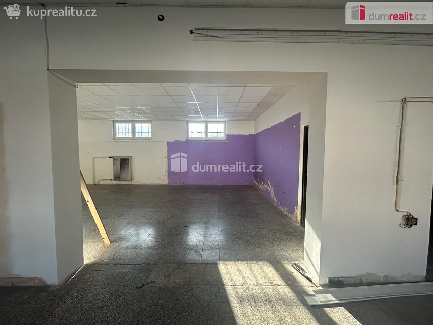 Pronájem  obchodních prostor 324 m^2 Třídvorská, Kolín 