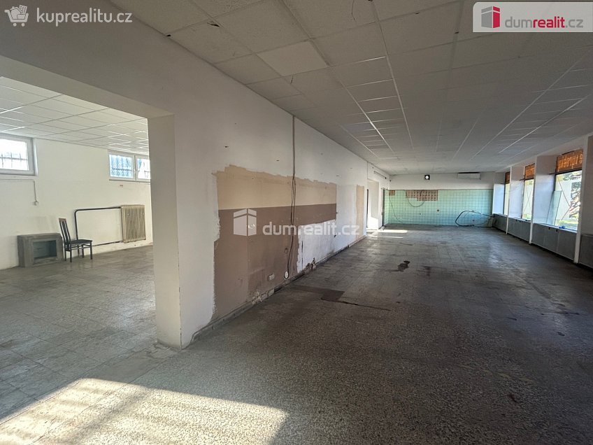 Pronájem  obchodních prostor 324 m^2 Třídvorská, Kolín 