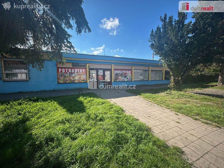 Pronájem  obchodních prostor 324 m^2 Třídvorská, Kolín 