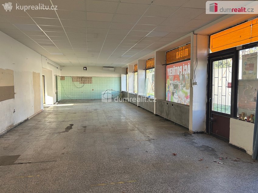 Pronájem  obchodních prostor 324 m^2 Třídvorská, Kolín 