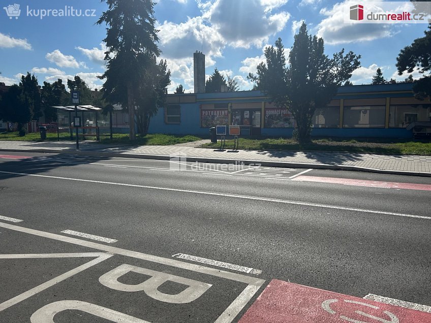 Pronájem  obchodních prostor 324 m^2 Třídvorská, Kolín 