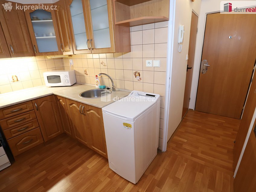 Pronájem bytu 1+1 40 m^2 Dlouhá, Aš 