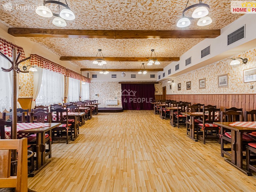 Prodej  vily 700 m^2 Merklínská, Karlovy Vary 