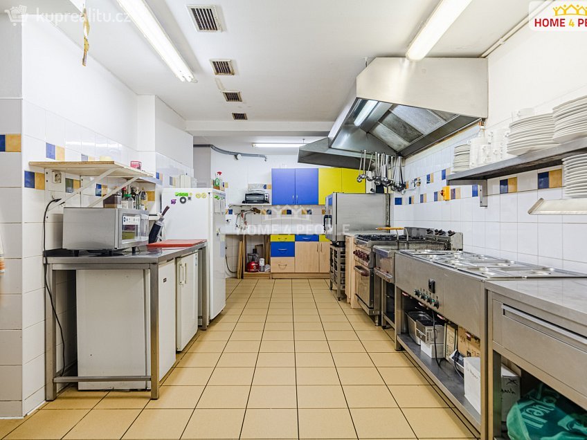 Prodej  vily 700 m^2 Merklínská, Karlovy Vary 