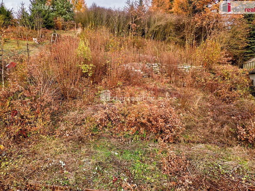 Prodej  zahrady 1025 m^2 Dalovice, Dalovice 