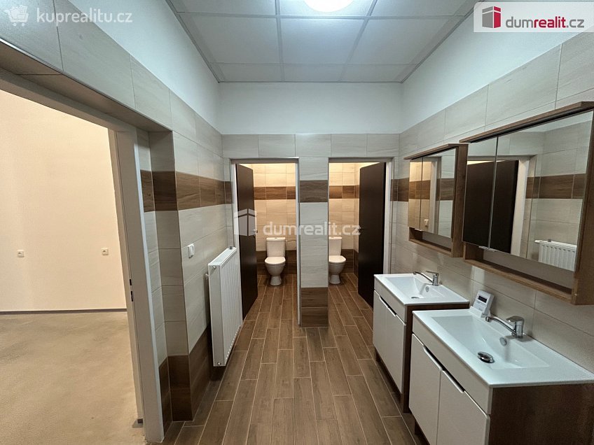 Pronájem  skladu 263 m^2 Polepská, Kolín 