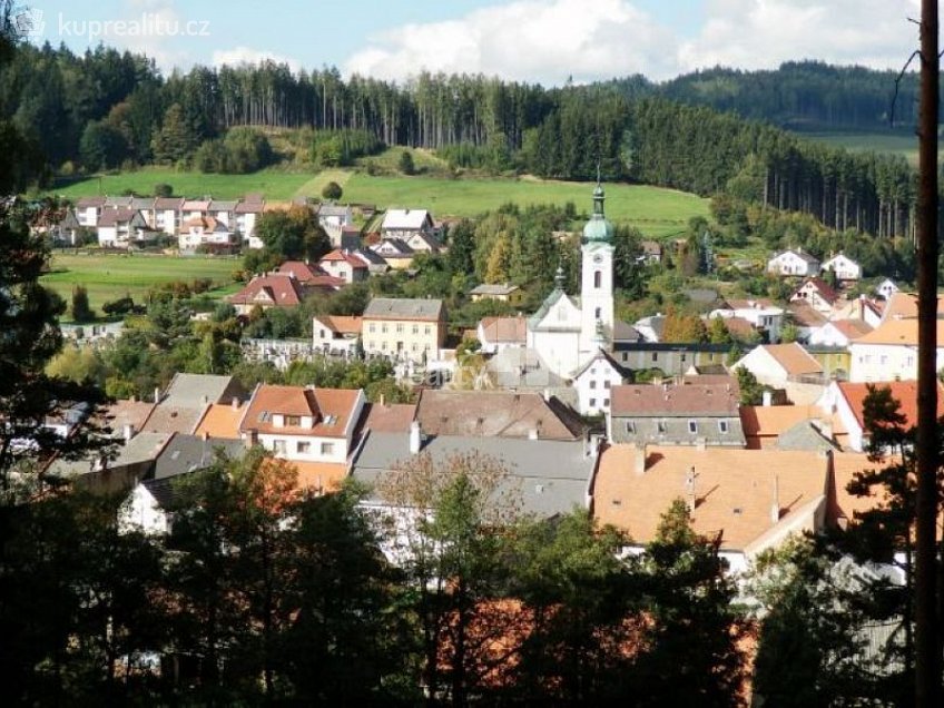 Prodej  louky 11779 m^2 Jimramov, Jimramov 