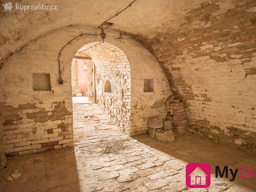 Pronájem  vinného sklepu 36 m^2 Břežany, Břežany 