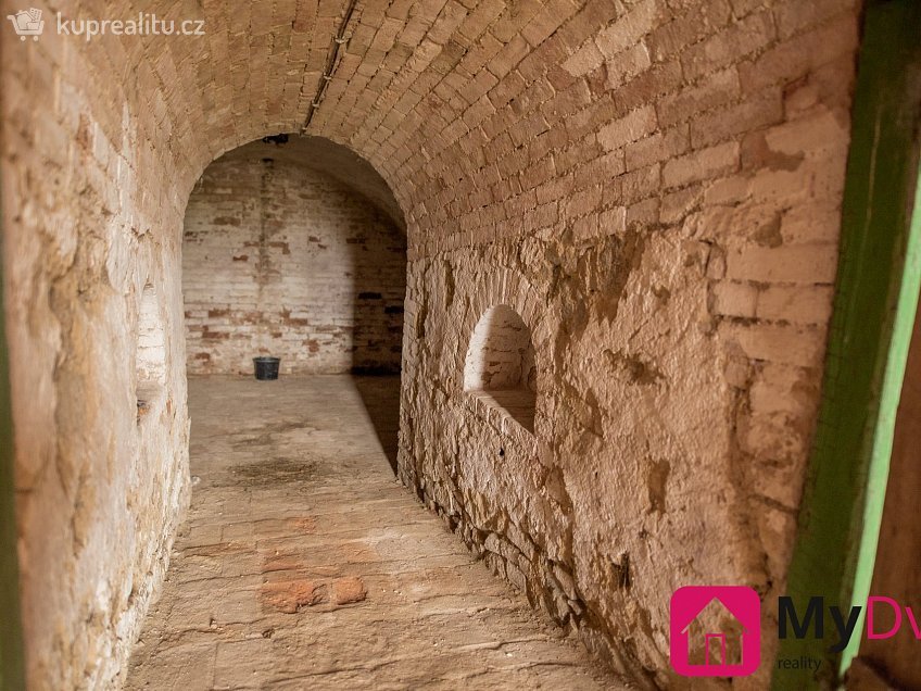 Pronájem  vinného sklepu 36 m^2 Břežany, Břežany 