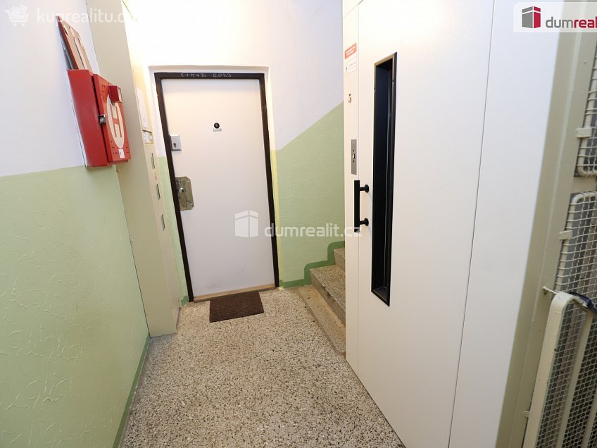 Pronájem bytu 3+1 64 m^2 Lesní, Cheb 