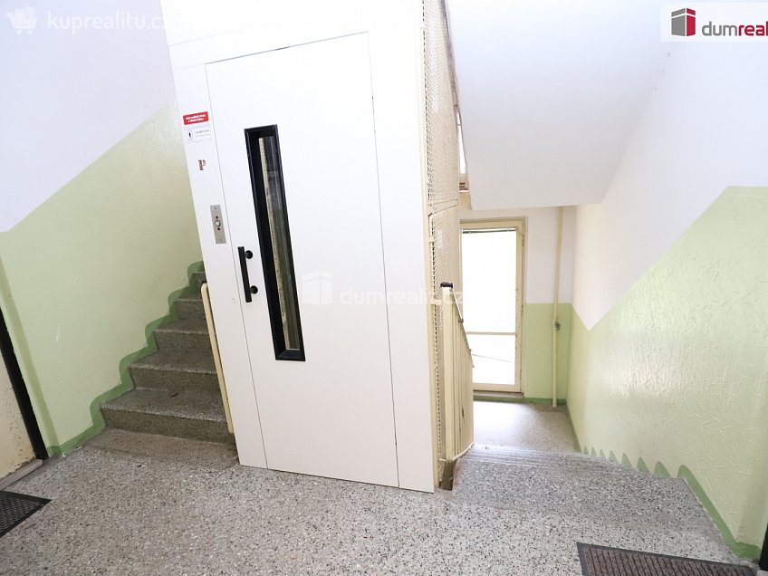 Pronájem bytu 3+1 64 m^2 Lesní, Cheb 