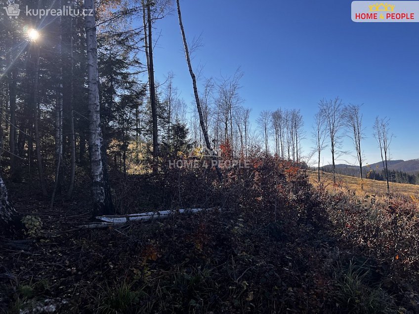 Prodej  stavebního pozemku 3129 m^2 Chvalčov, Chvalčov 